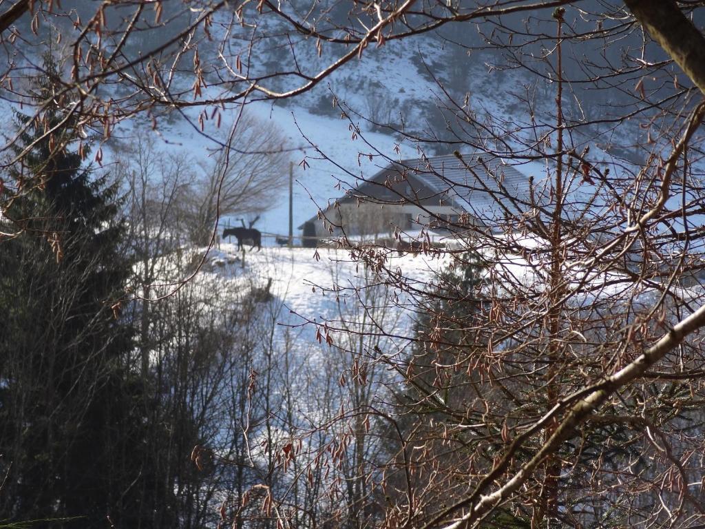 Ferme Auberge A La Colline Ferdrupt Exterior foto