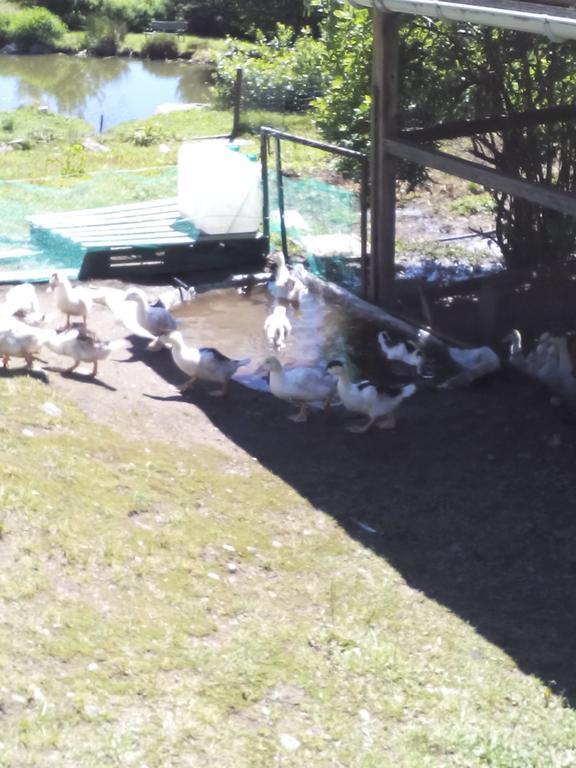 Ferme Auberge A La Colline Ferdrupt Exterior foto